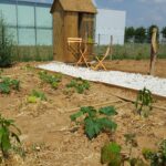Jardin Potager Cesson