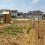 Jardin Potager Cesson