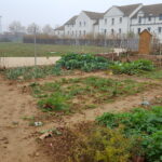 Jardin Potager Cesson