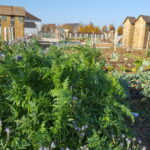 Jardin Potager Cesson