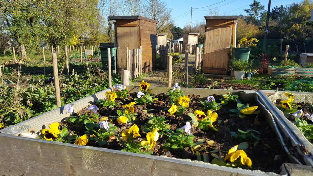 Jardin potager Montlhéry