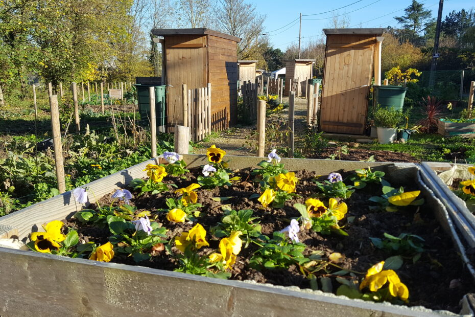 Jardin potager Montlhéry
