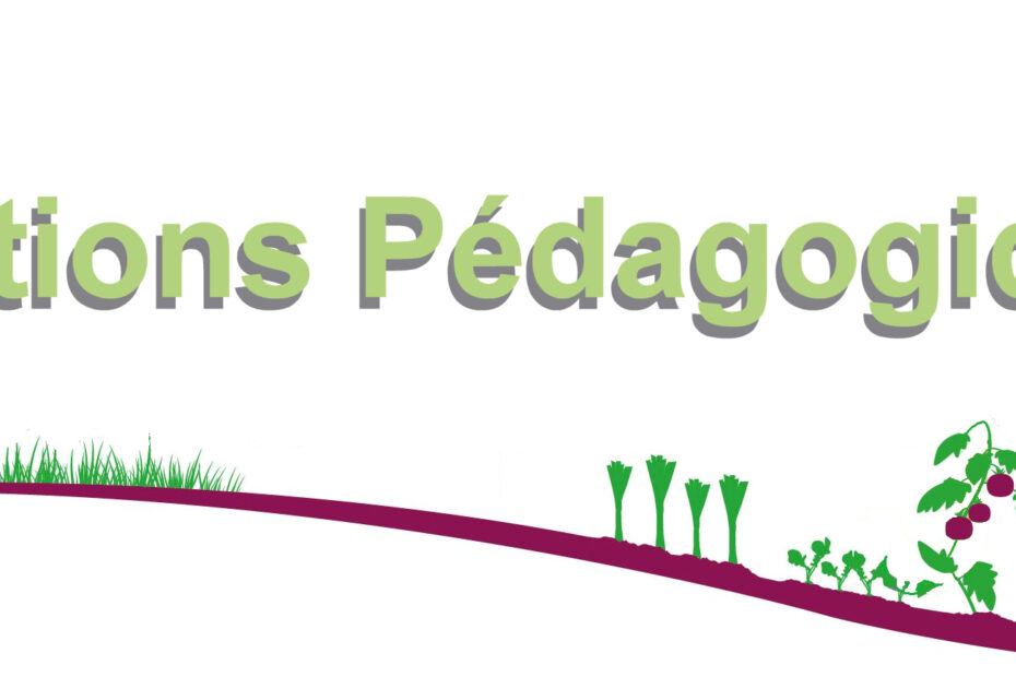 bannière animations pédagogiques