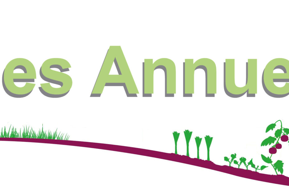 bannière cycles annuels